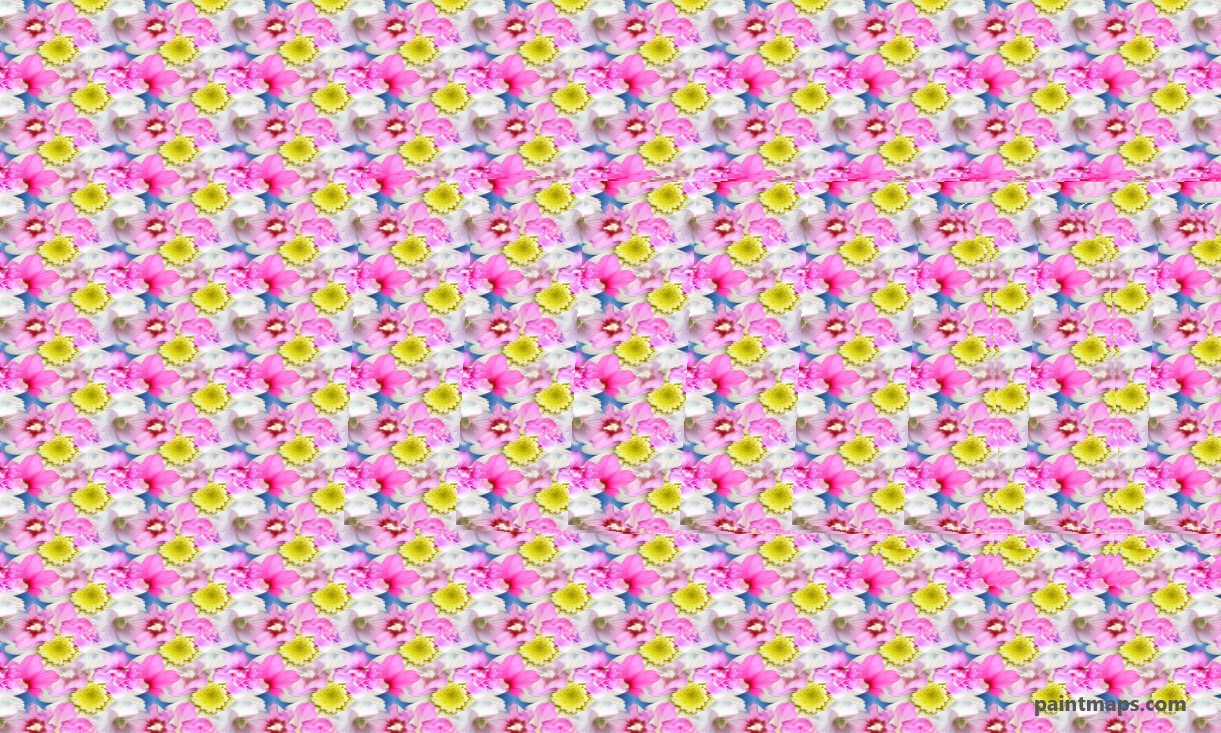 Guney-Dakota Haritası - 3D Stereogram (Şaşı Bak Şaşır)